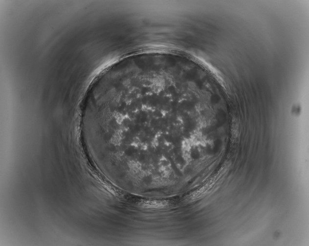 X0000099311411200805161402