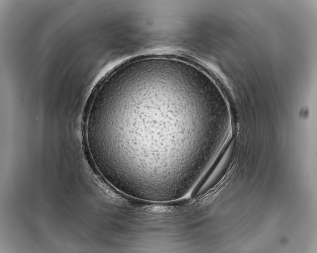 X0000099311412200805161402