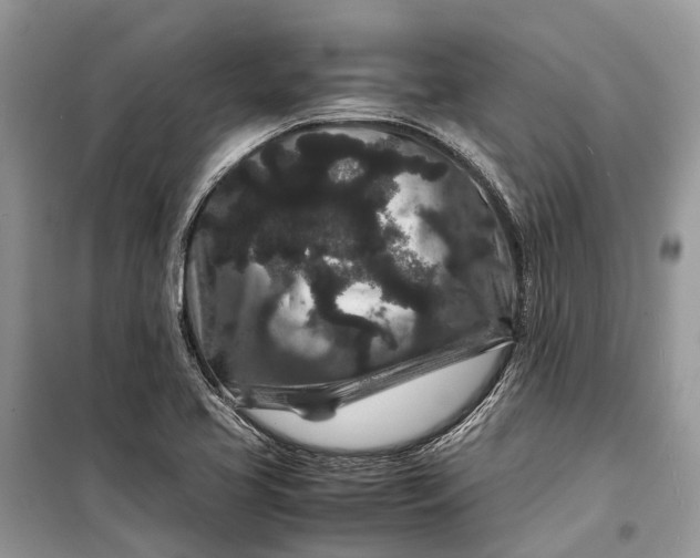 X0000099311413200805161402