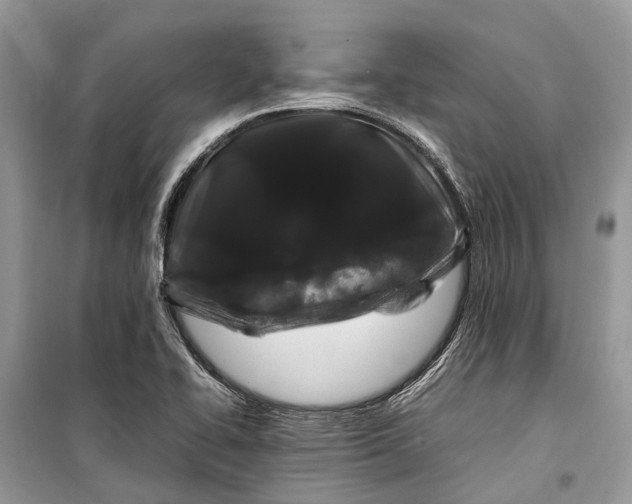 X0000099311414200805161402