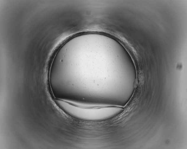 X0000099311416200805161402