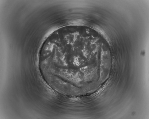 X0000099311419200805161402