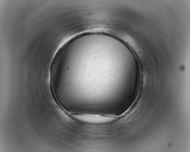 X0000099311420200805161402