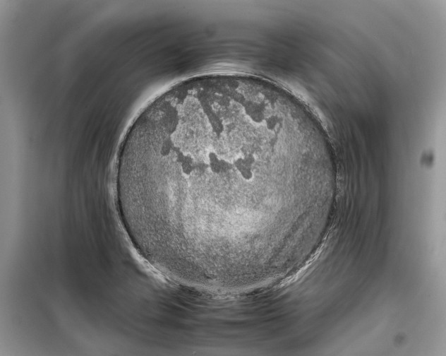 X0000099311421200805161402