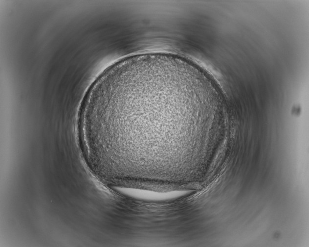 X0000099311423200805161402