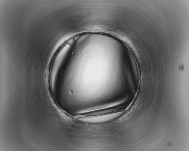 X0000099311424200805161402