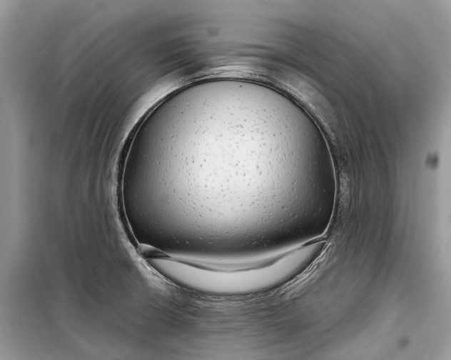 X0000099311426200805161402