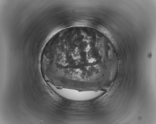 X0000099311427200805161402