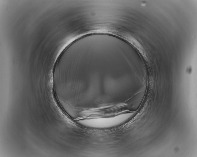 X0000099311428200805161402