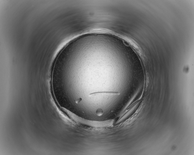 X0000099311430200805161402