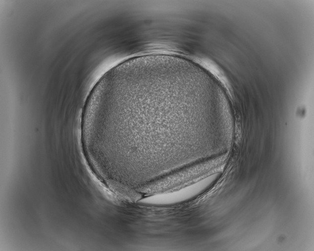 X0000099311431200805161402