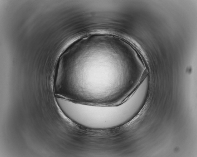 X0000099311433200805161402