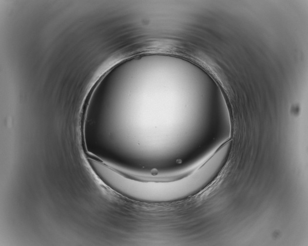 X0000099311434200805161402