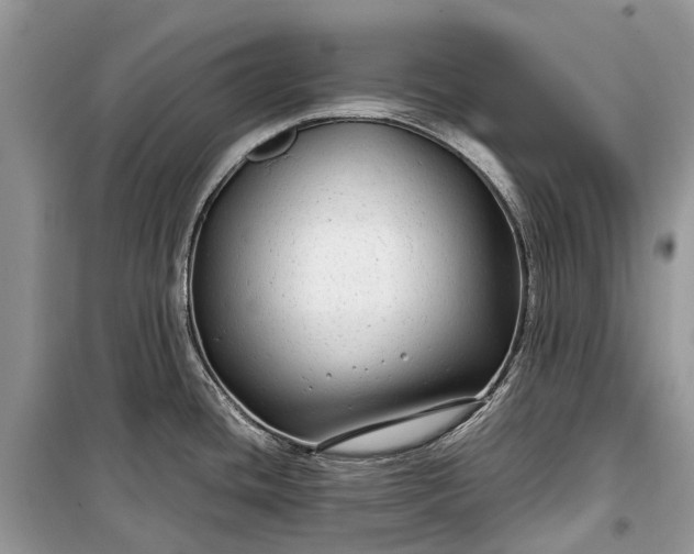 X0000099311436200805161402