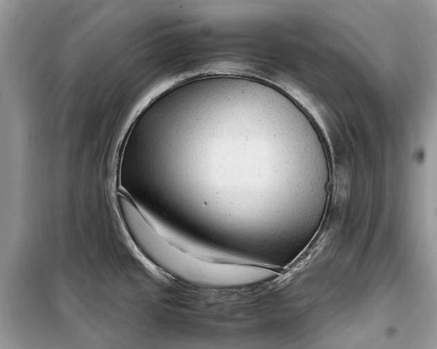 X0000099311437200805161402