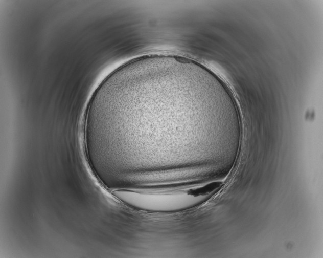 X0000099311440200805161402