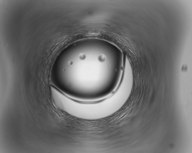 X0000099311441200805161401