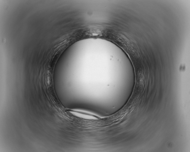 X0000099311442200805161401