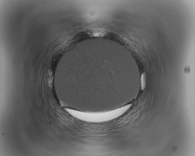 X0000099311443200805161401