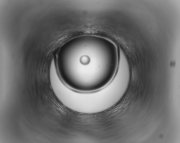 X0000099311444200805161401