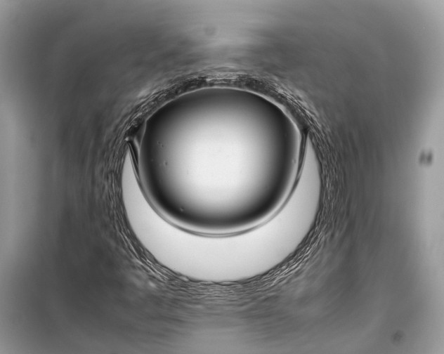 X0000099311445200805161401