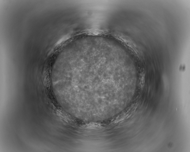 X0000099311446200805161401