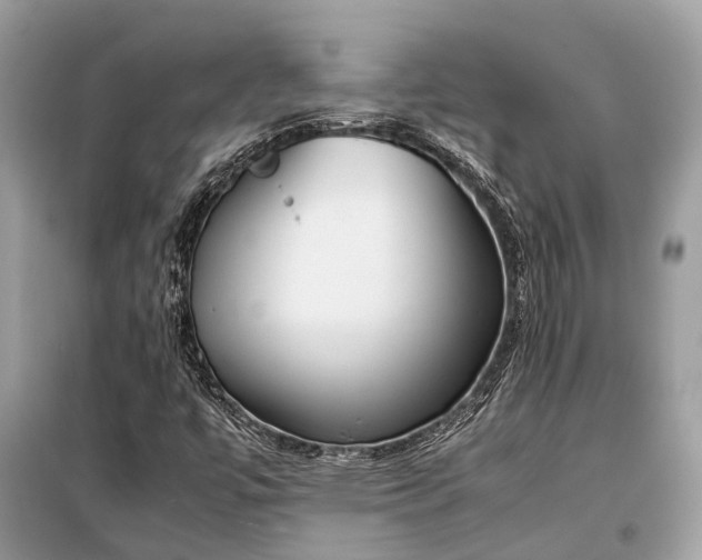 X0000099311447200805161401