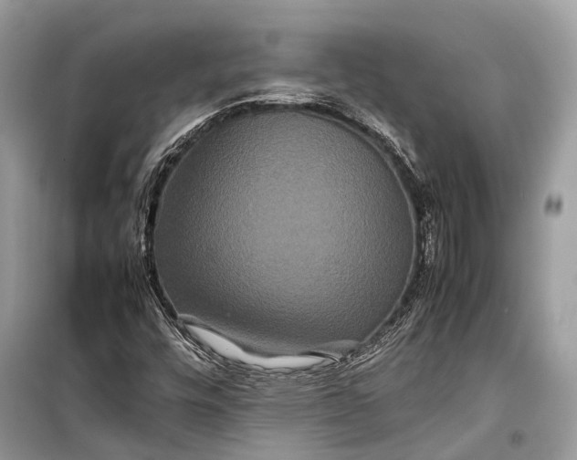 X0000099311448200805161401