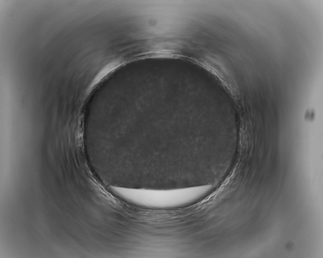 X0000099311450200805161401