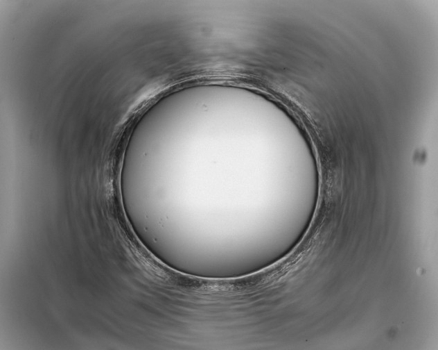 X0000099311451200805161401