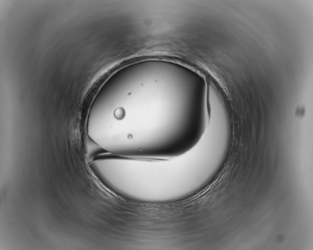 X0000099311452200805161401