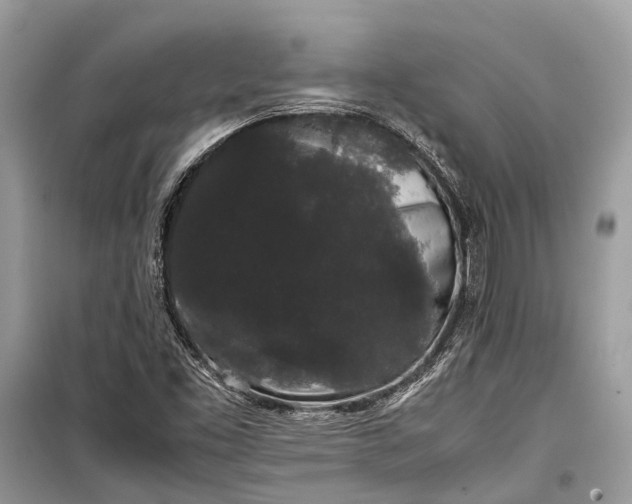 X0000099311453200805161401