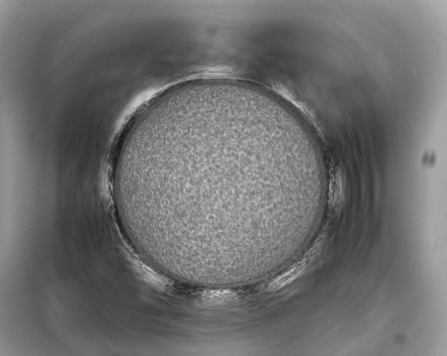 X0000099311454200805161401