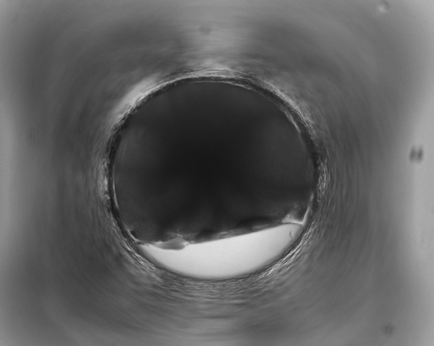 X0000099311455200805161401