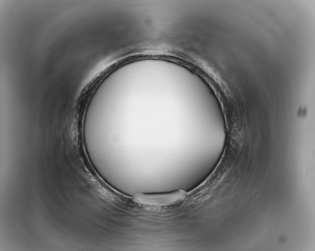 X0000099311456200805161401