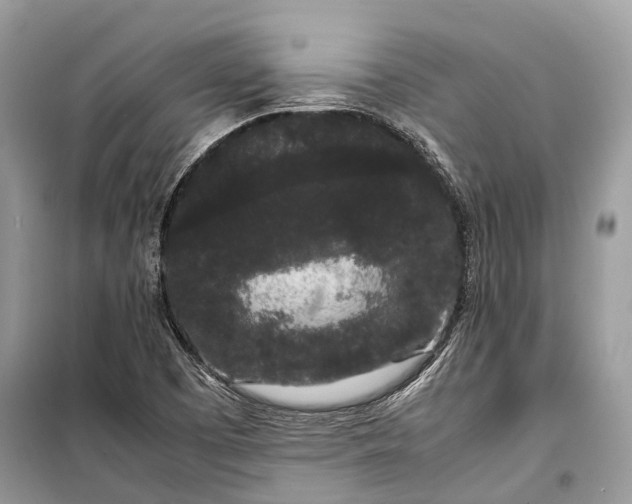 X0000099311457200805161401