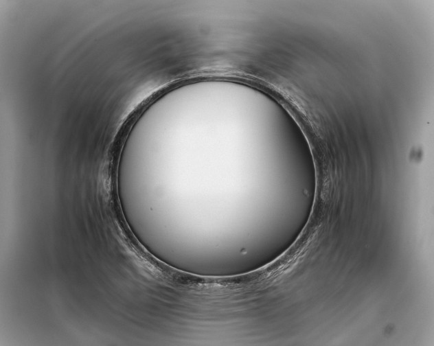 X0000099311458200805161401