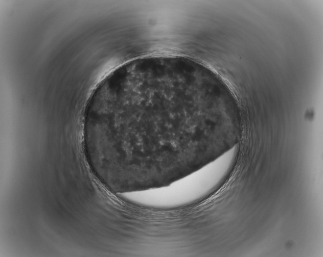 X0000099311459200805161401