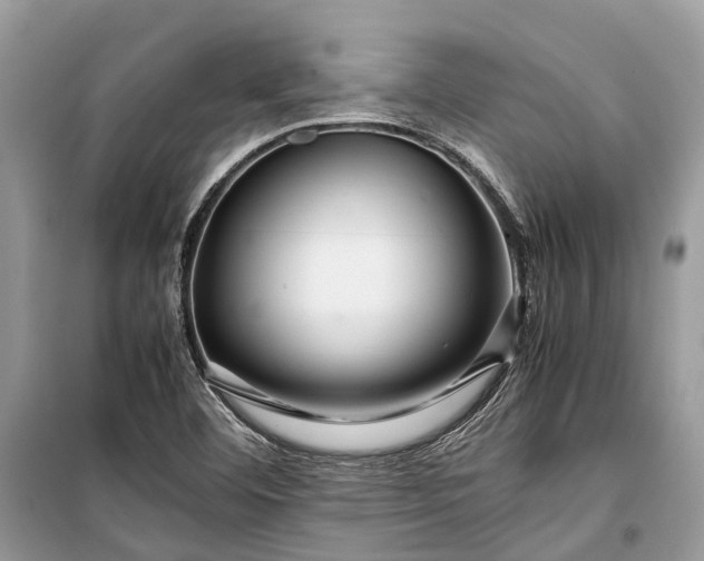 X0000099311460200805161401