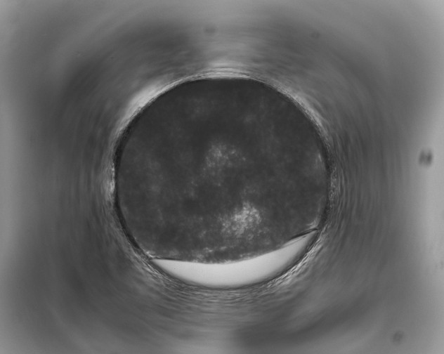 X0000099311461200805161401