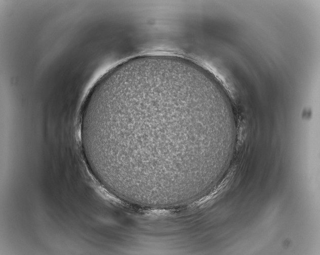 X0000099311462200805161401