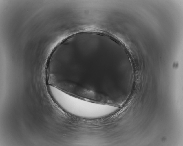 X0000099311463200805161401