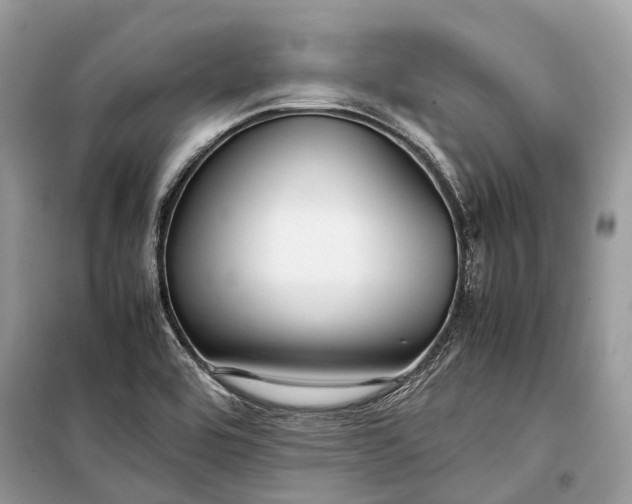 X0000099311464200805161401