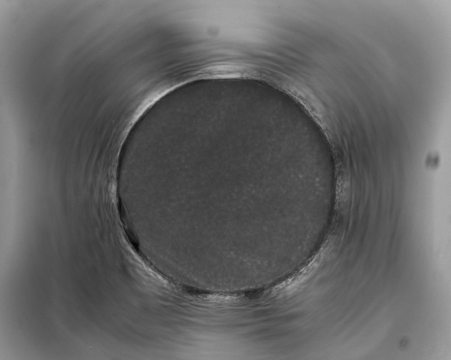 X0000099311465200805161401