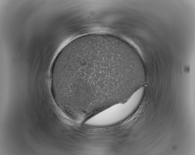 X0000099311467200805161401