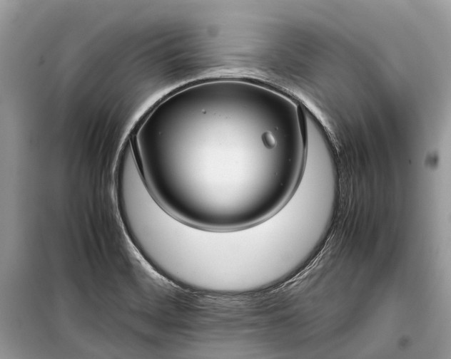 X0000099311468200805161401