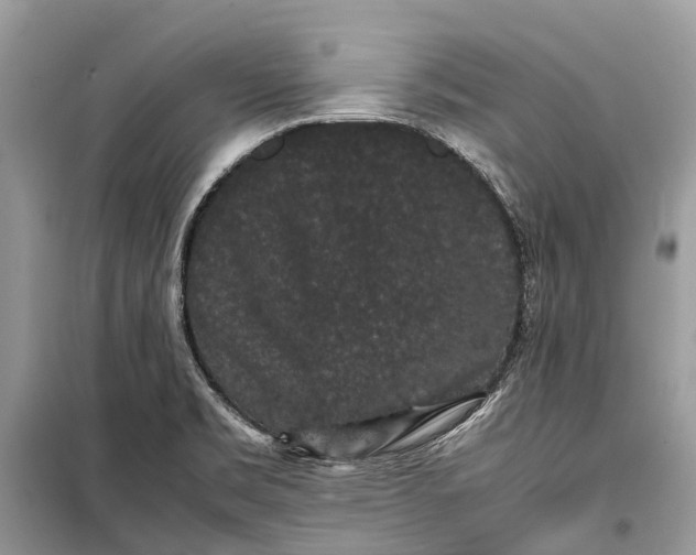 X0000099311469200805161401