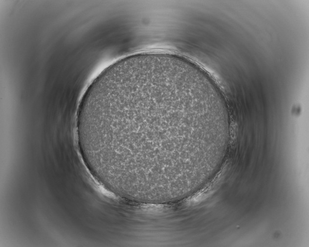 X0000099311470200805161401