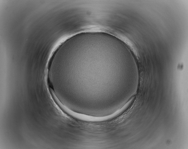 X0000099311472200805161401