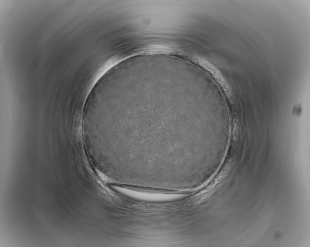 X0000099311473200805161401